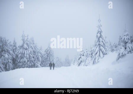 Wanderweg am Brocken Schierke, Deutschland Stockfoto