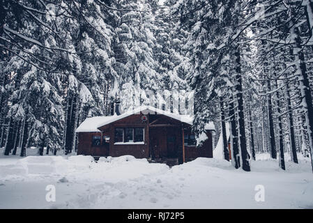 Hütte im Wald, Winter, Harz, Schierke, Deutschland Stockfoto