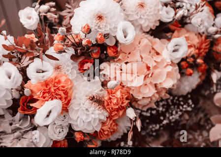 Schönen lebenden Korallen blumen blumenstrauss hautnah. Natürliches Konzept im Angebot lebende Koralle Farbe. Stockfoto