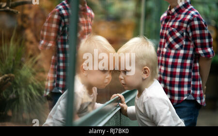 Kinder beobachten Reptilien im Terrarium durch Glas. Stockfoto