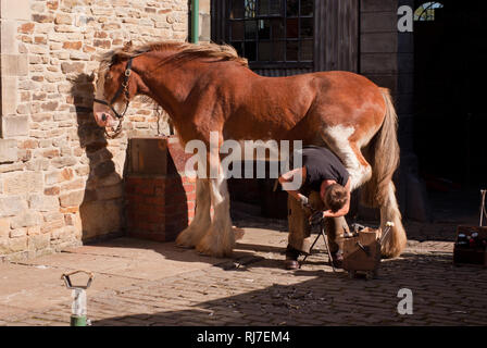 Schmied bei der Arbeit ein Pferd beschlagen, Beamish Museum, County Durham, UK Stockfoto