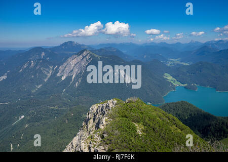 Deutschland, Bayern, Bayerische Alpen, Walchensee, Blick vom Herzogstand in Walchensee, Jochberg und Benediktenwand im Hintergrund Stockfoto