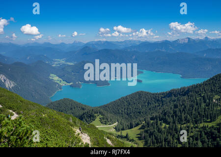 Deutschland, Bayern, Bayerische Alpen, Walchensee, Blick vom Herzogstand in den sommerlichen Walchensee Stockfoto