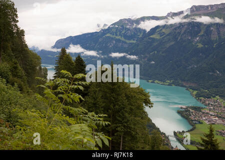 Brienzersee (Brienzersee) vom Harder Kulm über Interlaken, Kanton Bern, Schweiz Stockfoto