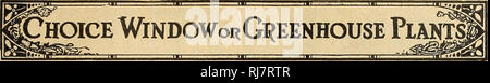 . Childs' 1924. Verkaufskataloge Samen; Baumschulen (Gartenbau) Kataloge; Samen; Blumen Kataloge Kataloge Kataloge ; Obst ; Gemüse Kataloge; John Lewis Childs (Firma); kommerzielle Kataloge; Baumschulen (Gartenbau); Samen; Blumen; Gemüse; Früchte. Obwohl wir die wenigen folgenden Seiten als Zimmerpflanzen zu klassifizieren, es ist nur wegen ihrer besonderen Eignung als Topfpflanze für den Innenbereich. Aber fast alles als solche aufgeführt sind gleichermaßen geeignet für die wachsenden - Türen während der Sommermonate, während viele von Ihnen, wie zarte Pflanzen bekannt sind, folgt daraus nicht, dass solche Anlagen sind p Stockfoto