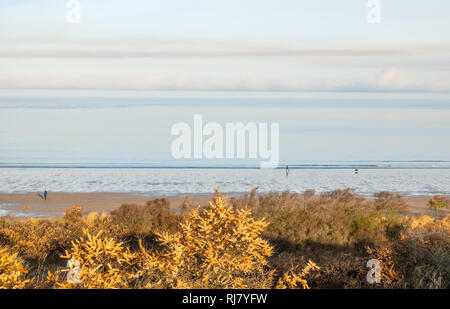 Gullane Strand, East Lothian, Schottland, Vereinigtes Königreich, 5. Februar 2019. UK Wetter: Am frühen Morgen ist kalt und forsty aber hell und sonnig am Ufer des Firth von weiter. Ohne Wind, das Wasser ist sehr ruhig und eine Bank der Nebel liegt in der Mitte von der Mündung. Leute gehen mit ihren Hunden am Strand bei Ebbe Stockfoto