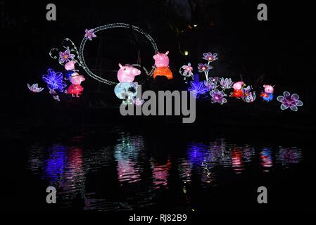 Jinan. 5. Februar, 2019. Fancy Laternen sind während der 40: Baotu Spring Laterne Messe in Jinan angezeigt, der ostchinesischen Provinz Shandong, Feb 5, 2019, dem ersten Tag der chinesische Mondjahr. Credit: Wang Kai/Xinhua/Alamy leben Nachrichten Stockfoto