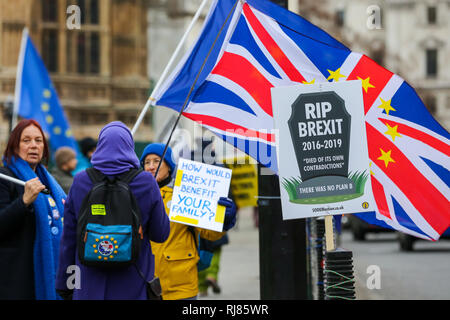 London, Großbritannien. 5. Februar, 2019. Anti-Brexit Demonstranten werden gesehen, Plakate und Fahnen während des Protestes außerhalb der Häuser des Parlaments über Großbritannien aus der Europäischen Union Am 29. März 2019. Credit: Dinendra Haria/SOPA Images/ZUMA Draht/Alamy leben Nachrichten Stockfoto
