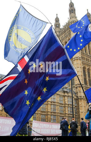 London, Großbritannien. 5. Februar, 2019. Anti-Brexit Demonstranten gesehen Holding flags während des Protestes außerhalb der Häuser des Parlaments über Großbritannien aus der Europäischen Union Am 29. März 2019. Credit: Dinendra Haria/SOPA Images/ZUMA Draht/Alamy leben Nachrichten Stockfoto