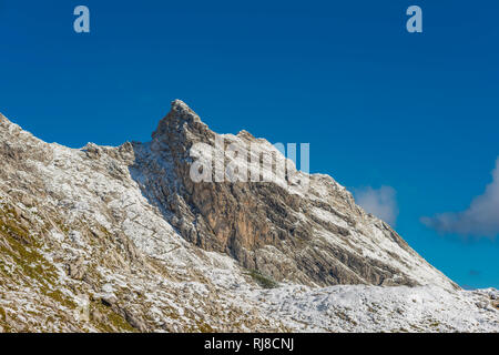 Wengenköpfe, Daumengruppe, Allgäuer Alpen, Allgäu, Bayern, Deutschland, Europa Stockfoto