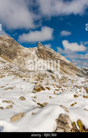 Wengenköpfe, Daumengruppe, Allgäuer Alpen, Allgäu, Bayern, Deutschland, Europa Stockfoto