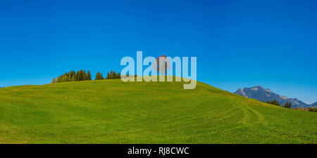 Friedenslinde (Tilia) Auf der Wittelsbacher Hoehe, 881m, Illertal, Allgäu, Bayern, Deutschland, Europa Stockfoto