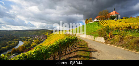 Deutschland, Bayern, Franken, Escherndorf, Kloster und Wein, Weinberge am Main, Herbst, dunkle Gewitterwolken Stockfoto