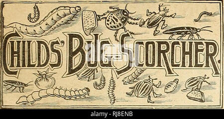 . Childs' 1923. Verkaufskataloge Samen; Baumschulen (Gartenbau) Kataloge; Samen; Blumen Kataloge Kataloge Kataloge ; Obst ; Gemüse Kataloge; John Lewis Childs (Firma); kommerzielle Kataloge; Baumschulen (Gartenbau); Samen; Blumen; Gemüse; Früchte. Feder KATALOG DER SAMEN, KNOLLEN UND PFLANZEN FÜR 1923 143. Ein Insektizid von großem Wert Die bequemste und sicherste aller Insektenvernichter Dieses alte zuverlässige Insektizid, das seit vielen Jahren von unseren Kunden wurde und es bleibt immer noch der größte aller Verbindungen, die für die Vernichtung von Insekten jeder Art und Beschreibung. Es ist ein Pa Stockfoto