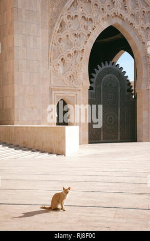 Casablanca, Hassan-II.-Moschee, Illustr., Marokko Stockfoto