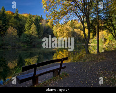 Deutschland, Bayern, Naturpark Bayrische Rhön, UNESCO-Biosphärenreservat, Freizeitanlage Basaltsee, Birken und Espen im Herbstlaub, Ruhebank Stockfoto