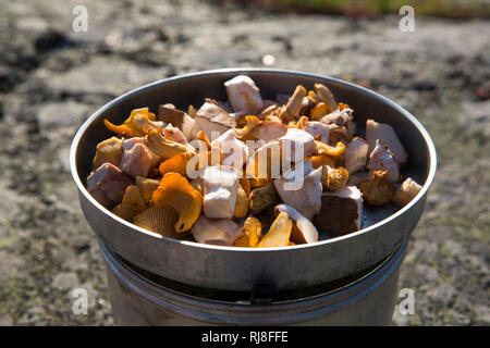 Pilze in Kocher, outdoor Stockfoto