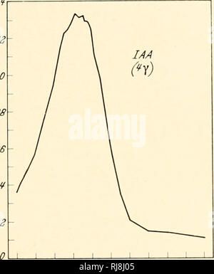 . Die Chemie und Wirkungsweise von Pflanzenwachstum Stoffe; Proceedings eines Symposiums in Wye College der Universität London, Juli 1955 statt. Die Regulierungsbehörden; Auxin; Wachstum (Pflanzen). Untersuchung der natürlichen Auxine und Wachstum Inhibitoren Identität dieser Substanzen. Dies ist viel schwieriger, weil, für analytische Untersuchungen, der Chemiker braucht in der Regel größere Mengen an Material als der Biologe. Allerdings, wenn wir haben eine Reihe von synthetischen Auxine, können wir versuchen, um zu sehen, ob einige der natürlichen Verbindungen mit ihnen identisch sind. Zum Beispiel, wir laufen immer die Chromatogramme mit synthet Stockfoto