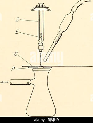 . Die Chemie und Wirkungsweise von Pflanzenwachstum Stoffe; Proceedings eines Symposiums in Wye College der Universität London, Juli 1955 statt. Die Regulierungsbehörden; Auxin; Wachstum (Pflanzen). Untersuchung der natürlichen Auxine und Wachstum Inhibitoren zu gleichen Teilen wasserfreiem Acetonitril und Hexan oder Heptan. Unter diesen Bedingungen, lAA und Ian bleiben in der Acetonitril phase sowie ethylindole Acetat (lAE), obwohl es vielleicht, möglicherweise, einige Verluste der Letzteren zusammengesetzte. 3. Chromatographische Aufreinigung - Festgestellt, dass einige der farbigen Verunreinigungen der Pflanzenextrakte sind stark war ein Stockfoto