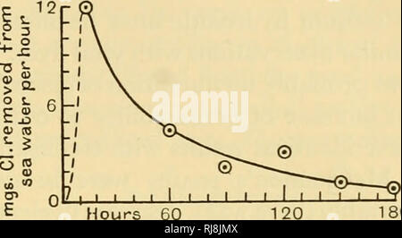 . Chemische Embryologie. Embryologie. SECT. 5] IN DER ONTOGENESE 801., dass die Dichte von Wasser in dem Arbacia punctulata Eier für einige Zeit gestanden hatte (ich Stunde) war immer niedriger als die von normalen Meerwasser (i -0229-i-02 i9). Dies führte ihn zu fragen, ob die Eier oder die Gelees alle anorganischen Material aus dem entnommenen Wassers hatte, und in der Tat Versuche zeigten, dass es immer ein Defizit von 2 bis 7 Zehntel Milligramm pro Kubikmeter Zenti- meter von Chlor in das Ei - Wasser nach einer Stunde, wenn ich Teil der Eier wurden in von 7 bis 10 Teilen Wasser ausgesetzt. Die Absorption Stockfoto