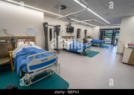 Bendigo, Victoria, Australien - medizinische Studie Zimmer für Studenten von Bendigo TAFE Stockfoto