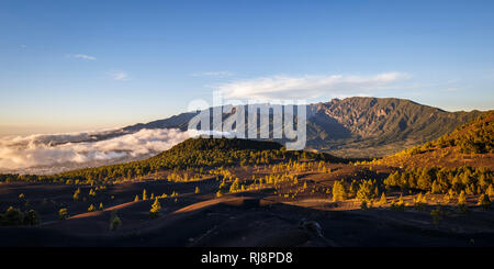 Die dunklen Lavasandflächen von Llano del Jable, hinten die Caldera de Taburiente, La Palma, Kanarische Inseln, Spanien, Abendaufnahme Stockfoto