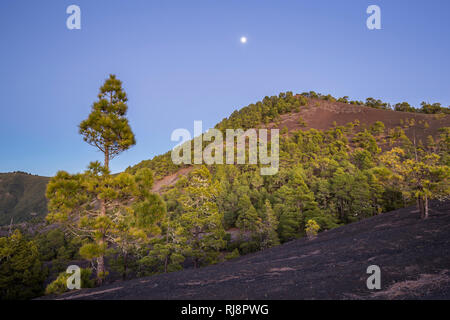 Vulkankegel Montaña Quemada (tacande), Gebiet Llano del Jable, La Palma, Kanarische Inseln, Spanien, Abendaufnahme Stockfoto