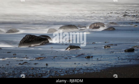Schwarzer Strand in Puerto de Tazacorte, La Palma, Kanarische Inseln, Spanien Stockfoto