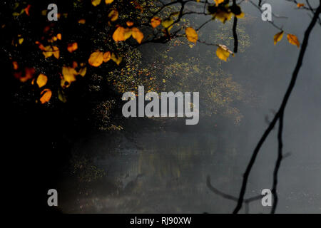 Wetter / HERBST BILD. Frosty Start für North Wales. Im Bild: Licht am frühen Morgen auf dem Fluss Dee unter Pontcysyllte Aquädukt. Montag 29. Oktober 2018. Stockfoto