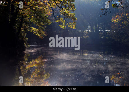 Wetter / HERBST BILD. Frosty Start für North Wales. Im Bild: Licht am frühen Morgen auf dem Fluss Dee unter Pontcysyllte Aquädukt. Montag 29. Oktober 2018. Stockfoto