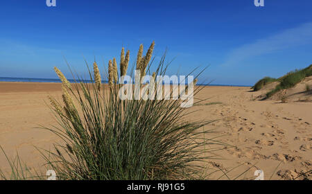 Blue Sky Merseyside als das schöne Wetter weiter auf Formby Strand, Dienstag, 26. Juni 2018. Stockfoto