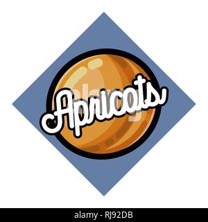Farbe Vintage Fruits Emblem. Aprikosen. Hand Vector Illustration gezeichnet. Stock Vektor
