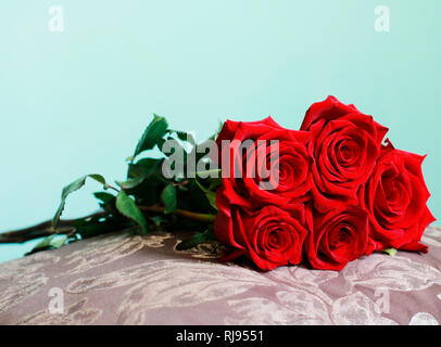 Schönen Haufen dunkle rote Rosen mit langem Stiel auf Kissen. Nähe zu sehen. Happy Valentines Day, Hochzeit, Liebe, Geburtstag Kulisse für Grußkarten, W Stockfoto
