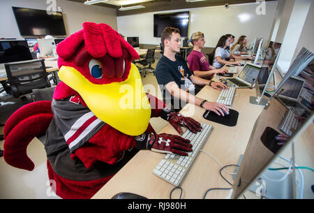 Universität von South Carolina Kampfhahn, Maskottchen Cocky ist ein grosser Erfolg auf dem Campus während Spiel Tag. Stockfoto