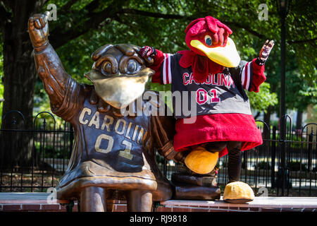 Universität von South Carolina Kampfhahn, Maskottchen Cocky ist ein grosser Erfolg auf dem Campus während Spiel Tag. Stockfoto