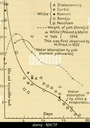 . Chemische Embryologie. Embryologie. SECT. 5] IN DER ONTOGENESE 815 weiße alascewiC 3 Curtis Komori/O Sendju l^ ID Needham • - Gewicht der Eigelb (Sendju) eine Weiße] Pre' vostS^ Morin XT Eigelb j 1846 Dieses erste von W. Proutinl 822^Wasseraufnahme von Eigelb beobachtet wurde (aktuelle yolkwards) 1927, und die sind in Abbildung dargestellt. 199. Die scharfen Abstieg dieser Kurve zwischen dem 15. und 20. Tag kein Zweifel darf aufgrund der Bildung von was Duval genannt "die Vogelgrippe Plazenta" werden. Als die beiden Enden der allantois Sicherung an der scharfen Ende des Eies umschliessen sie in einem Gefäß-tasche Was bleibt von der Ei-weiss Stockfoto