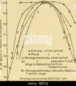 . Chemische Embryologie. Embryologie. SECT. 5] IN DER ONTOGENESE 811. Â ¢ StrongylocentroUiS gesamten Zeitraum â¡â¢â" zwischen 4c Stufe S^blastula (primitive Mesenchym) B â Strongyjocentrotus zwischen Blastula&amp;, 3 spicule Bühne Strongylocentrotus &Amp;. Echinu 8 P® • 9 2-0 2-2 2-3 2-4 2-5 2'G 38 -40 42 -44 -46 -48 -50 -52 54 -56 58 -60 -62 Rana • in Abb. 195. Im Fall der Frosch, der Kurve erscheint nur auf einer Seite zu fallen. Die Zone, in der normalen Segmentierung auch fortfahren würden deutlich unterschied sich für die beiden stachelhäuter; für In-Haltung, es war ein â 0-63° bei oiEchinus und nur 0-57 Stockfoto