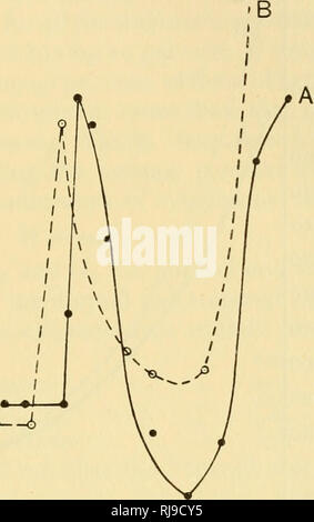 . Chemische Embryologie. Embryologie. SECT. 5] IN DER ONTOGENESE 807 Lösungen in einem Ausmaß gerade ausreichend, um das Produkt der Gleichung konstant zu halten, aber das Meer - die Eier von Urchin dies nicht tun. Abb., 194 zeigt auf der Kurve eine das tatsächliche Verhalten der Eier, Band gegen osmotischen Druck von externen Medium geplottet werden, und B die theoretische Kurve, die dazu geführt haben soll, wenn der Boyle-Mariotte Gesetz befolgt wurde. Es ist offensichtlich, dass die divergenz Größte in sehr hypotone Lösungen ist, Nil im normalen Meerwasser, und wieder +10 + 9 - + 8 - E^7 ICH -&gt; +5) +4"&gt; .3 C+2 C O +1. 3 4 5 Stockfoto