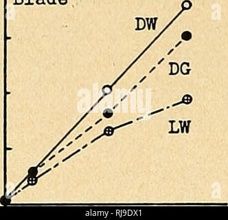 . Chemische Untersuchungen der Rhabarber Anlage. Rhabarber; Pflanzen. 72 Connecticut Experiment Station Bulletin 424. Abb. 24 Löslichen N Blade. Bitte beachten Sie, dass diese Bilder sind von der gescannten Seite Bilder, die digital für die Lesbarkeit verbessert haben mögen - Färbung und Aussehen dieser Abbildungen können nicht perfekt dem Original ähneln. extrahiert. Vickery, Hubert Bradford, b. 1893. [New Haven]: Connecticut landwirtschaftliche Experiment Station Stockfoto