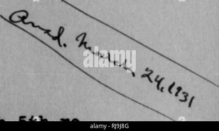 . C. Hart Merriam Papiere: einschließlich Korrespondenz, Papiere in Bezug auf Karriere mit den Vereinigten Staaten biologische Umfrage, 1798-1972 (1871-1942). In den Vereinigten Staaten. Aufteilung der Ornithologie und Säugetierkunde; in den Vereinigten Staaten. Abteilung der biologischen Erhebung; in den Vereinigten Staaten. Biologische Umfrage; in den Vereinigten Staaten. Büro der biologischen Erhebung; geologische und geografische Übersicht der Gebiete (U. S.); Harriman Alaska Expedition (1899); Beringmeer Kontroversen; Bären; Biogeographie; Naturgeschichte; Vogelkunde; Botanik; Leben Zonen; Wildlife Conservation. ;%^^ J [5 DEATH VALLEY HOTEL CO., LTD. FURNACE CREEK IN Stockfoto