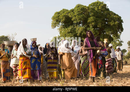 Kisambo Dorf, Yako, Burkina Faso, 28. November 2016; Mitglieder der Kisambo Village Garden. Stockfoto