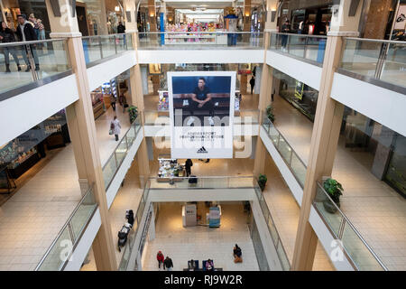 Große Aaron Richter Werbung für Adidas im Queens Center Mall in Elmhurst, Queens, New York City Stockfoto