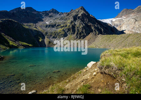 Österreich, Tirol, Stubaier Alpen, Neustift, Grünausee mit Blick auf den Freigerferner Stockfoto