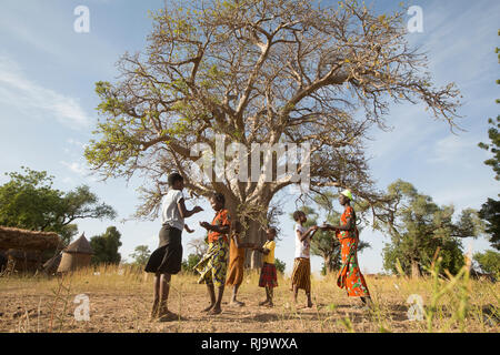 Baribsi Dorf, Yako, Burkina Faso, 30. November 2016; Kinder, die vor dem Dorf Baobab Baum spielen, werden für Dorffreffen verwendet. Stockfoto