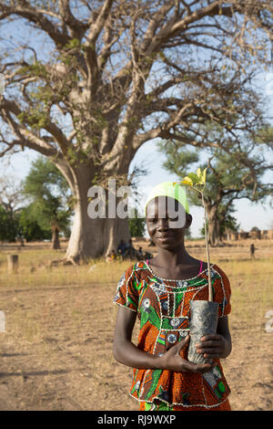 Baribsi Village, Yako, Burkina Faso, 30. November 2016; Brigitte Kientega, 15 mit einem Boabab, der vor dem Dorf Baobab Baum sackt. Stockfoto