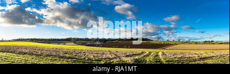 Panorama der Landschaft von Cotswold auf eine helle Winterabend über Rollenackerland Stockfoto