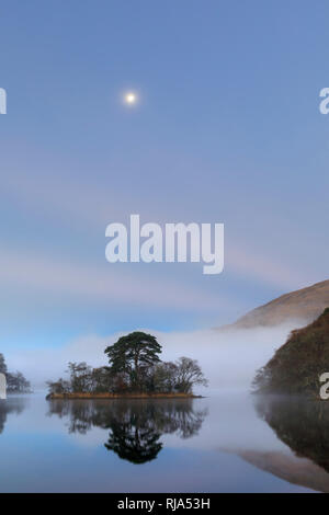 Der Mond über Baum auf Loch Awe auf einem nebligen Morgen gefangen. Stockfoto