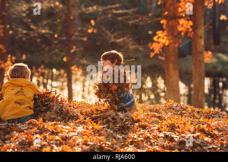 Zwei Jungen spielen in einem Stapel von Blättern, United States Stockfoto