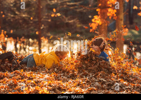 Zwei Jungen spielen in einem Stapel von Blättern, United States Stockfoto