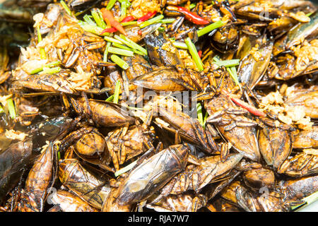 Auf dem Weg nach Kampong Cham, geröstete Kakerlaken sterben wie Chips gegessen werden, überaus schmackhaft Stockfoto